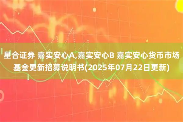 星合证券 嘉实安心A,嘉实安心B 嘉实安心货币市场基金更新招募说明书(2025年07月22日更新)
