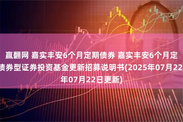 赢翻网 嘉实丰安6个月定期债券 嘉实丰安6个月定期开放债券型证券投资基金更新招募说明书(2025年07月22日更新)