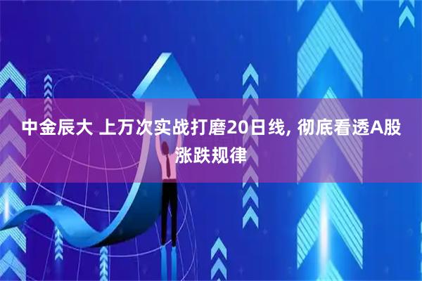 中金辰大 上万次实战打磨20日线, 彻底看透A股涨跌规律